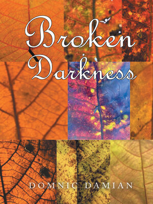 cover image of Broken Darkness